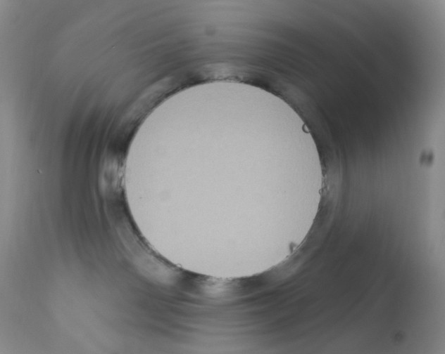 X0000112160142200909181456