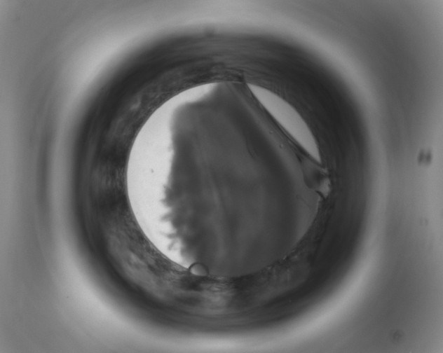 X0000112160143200909181456