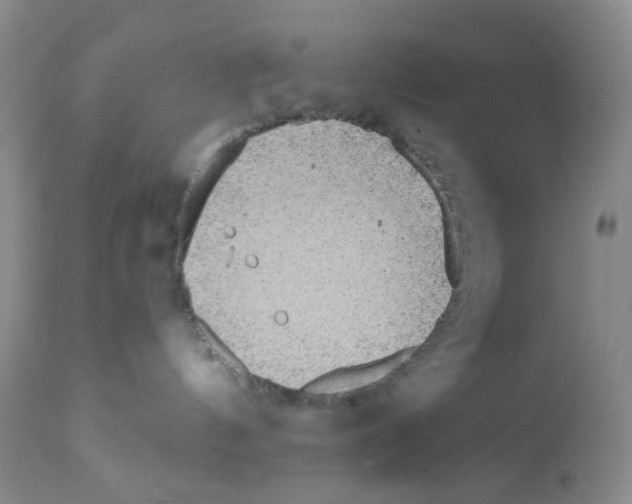 X0000112160144200909181456