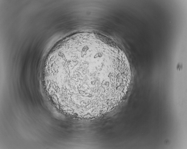 X0000112160145200909181456