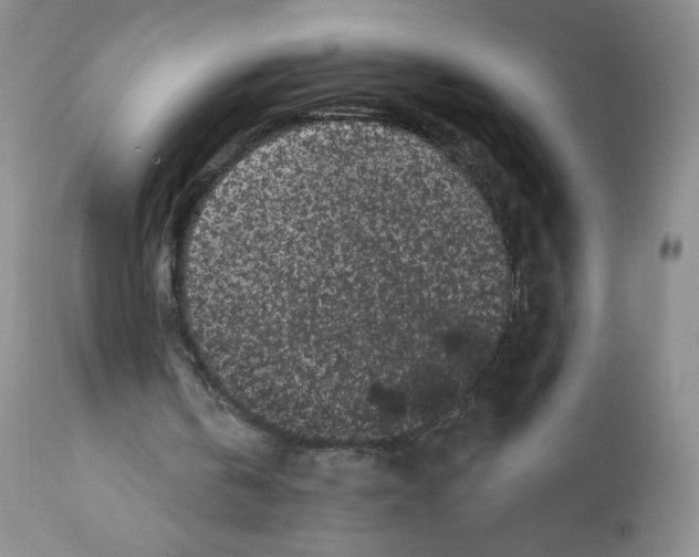 X0000112160146200909181456