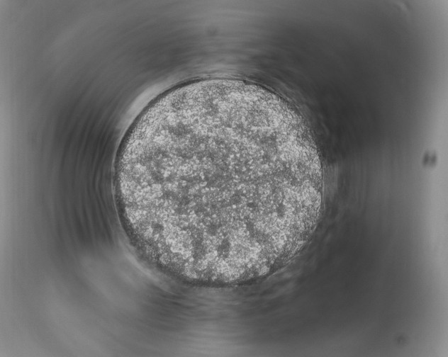 X0000112160147200909181456