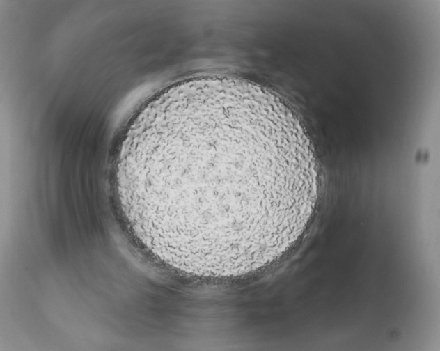 X0000112160149200909181456