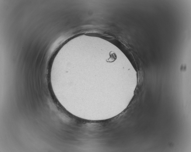 X0000112160150200909181456