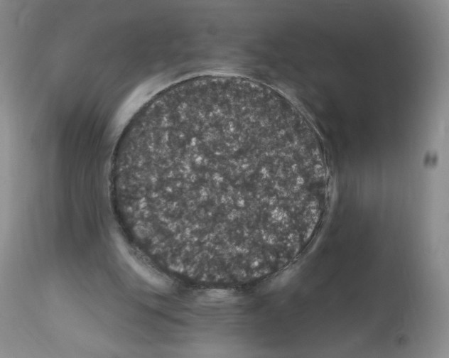 X0000112160151200909181456