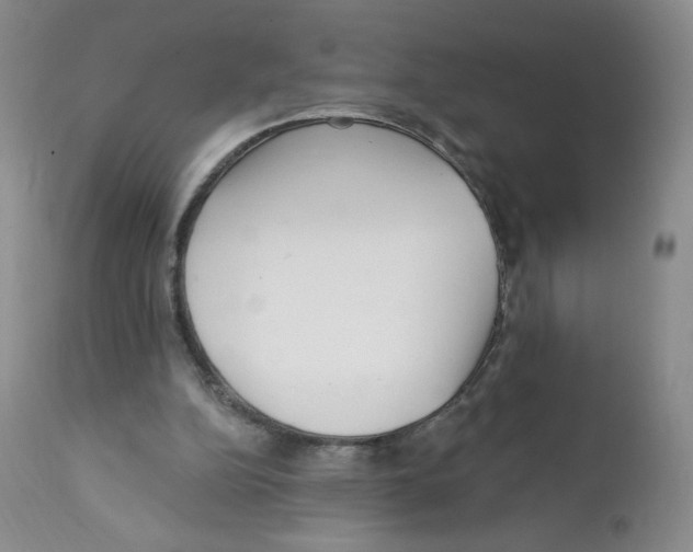X0000112160152200909181456