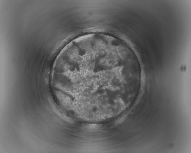 X0000112160153200909181456