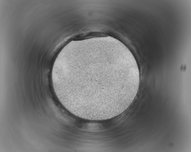X0000112160154200909181456