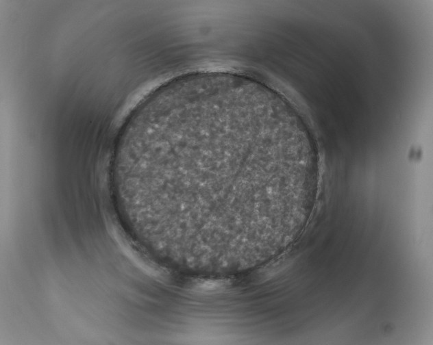 X0000112160155200909181456