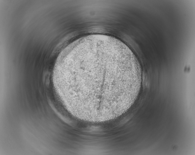 X0000112160157200909181456