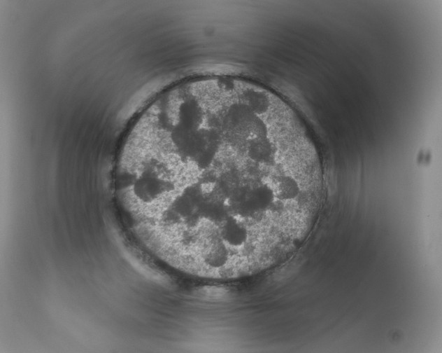 X0000112160159200909181456