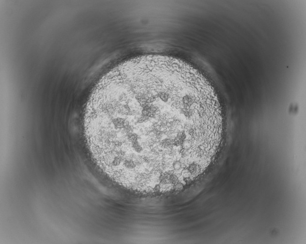X0000112160161200909181456