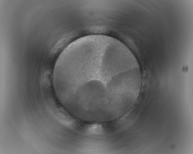 X0000112160162200909181456