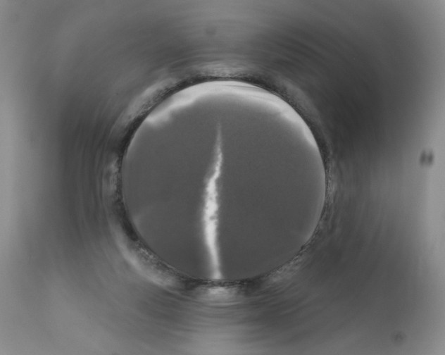 X0000112160163200909181456