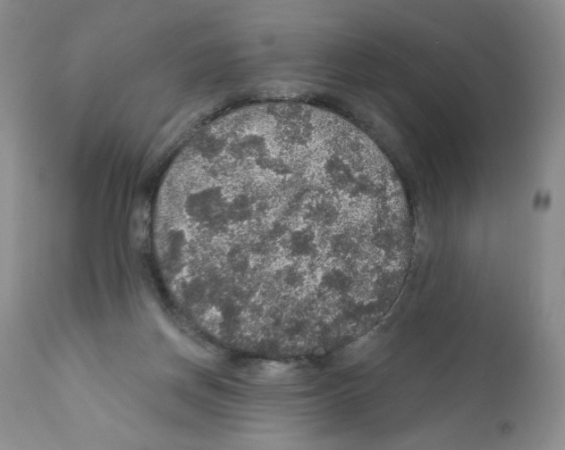 X0000112160166200909181456
