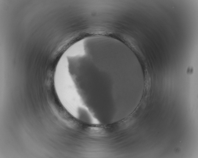 X0000112160167200909181456