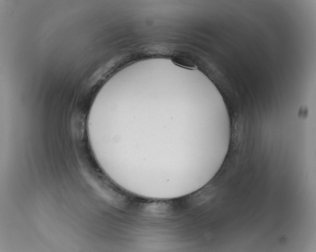 X0000112160168200909181456