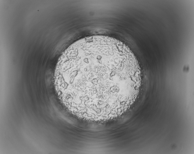 X0000112160169200909181456
