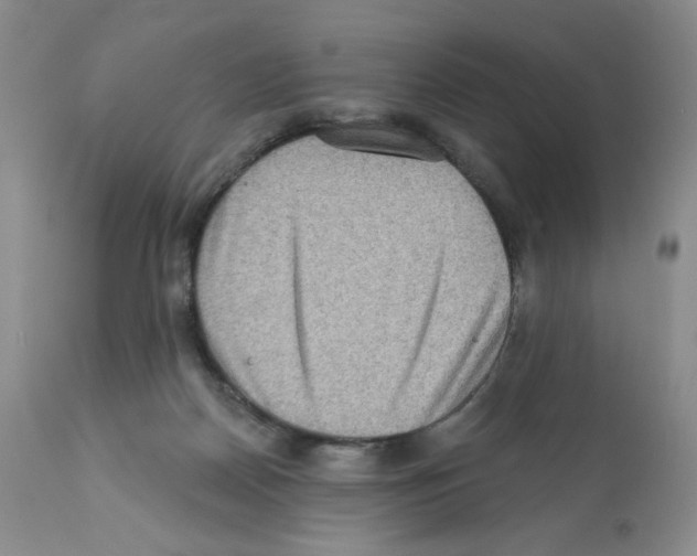 X0000112160170200909181456