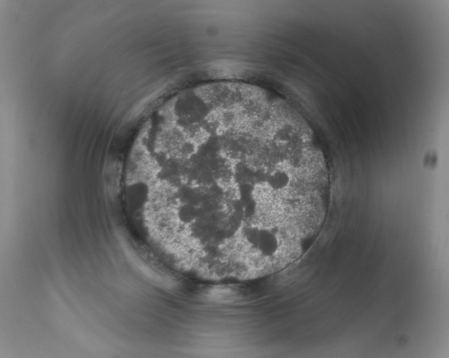 X0000112160171200909181456