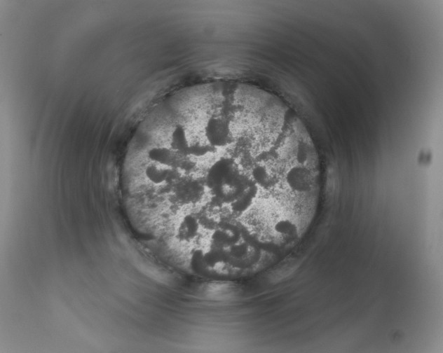 X0000112160173200909181456