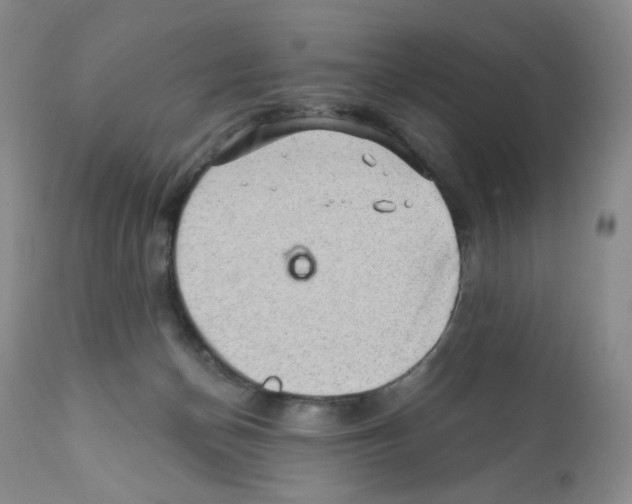 X0000112160174200909181456