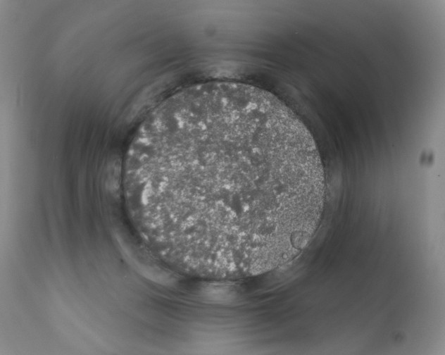 X0000112160175200909181456