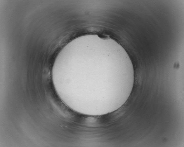 X0000112160176200909181456