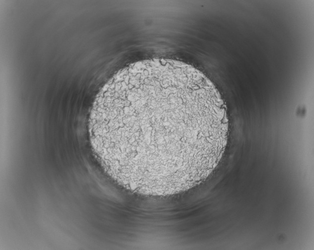X0000112160177200909181456