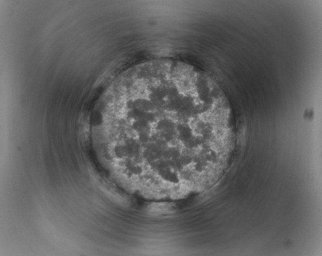 X0000112160179200909181456