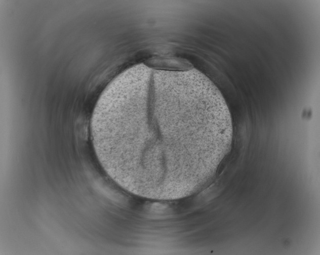 X0000112160180200909181456