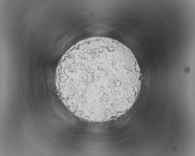 X0000112160181200909181456