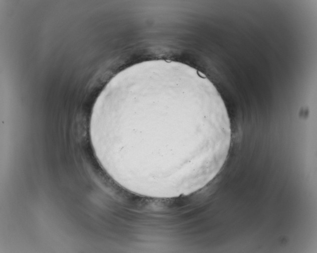X0000112160182200909181456