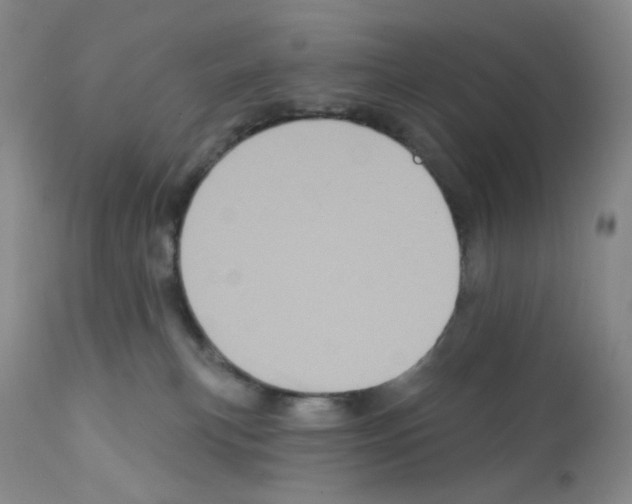 X0000112160183200909181456