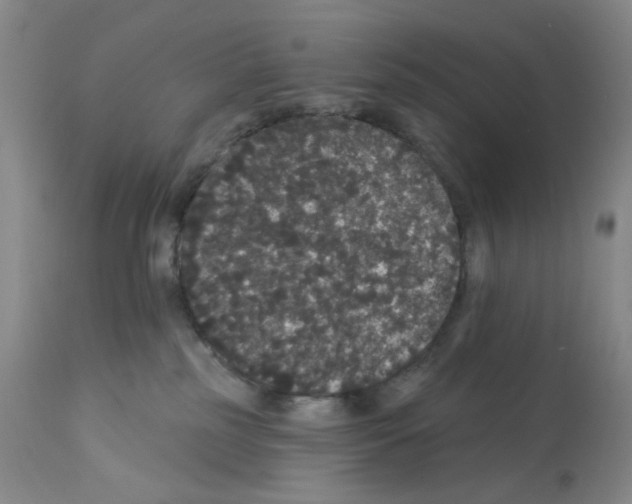 X0000112160185200909181456