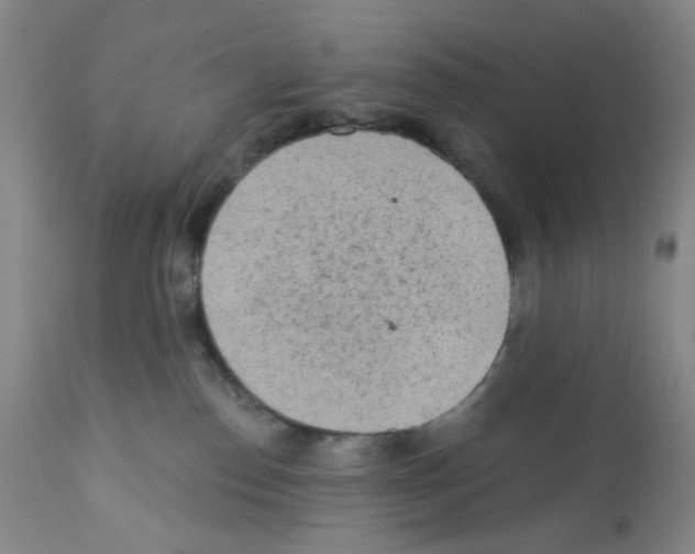 X0000112160186200909181456