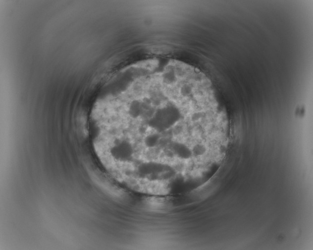 X0000112160187200909181456
