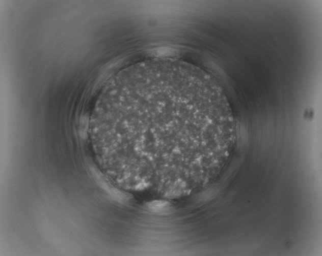 X0000112160189200909181456
