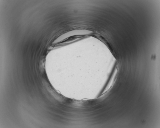 X0000112160190200909181456
