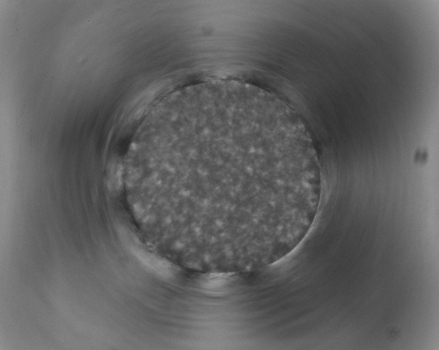 X0000112160191200909181456