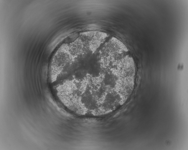 X0000112160194200909181456