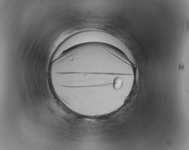 X0000112160195200909181455