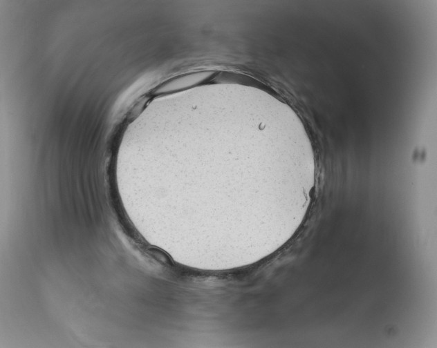 X0000112160197200909181455