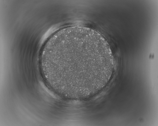 X0000112160198200909181455
