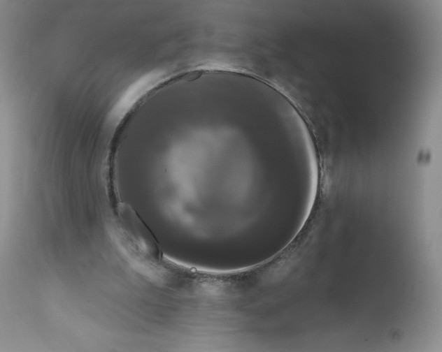 X0000112160199200909181455