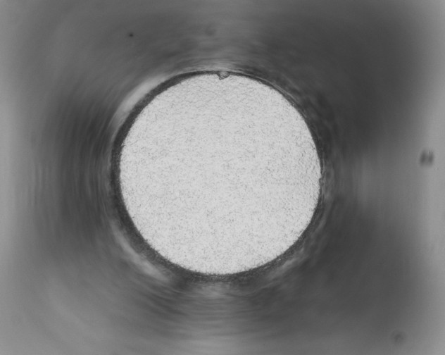 X0000112160200200909181455