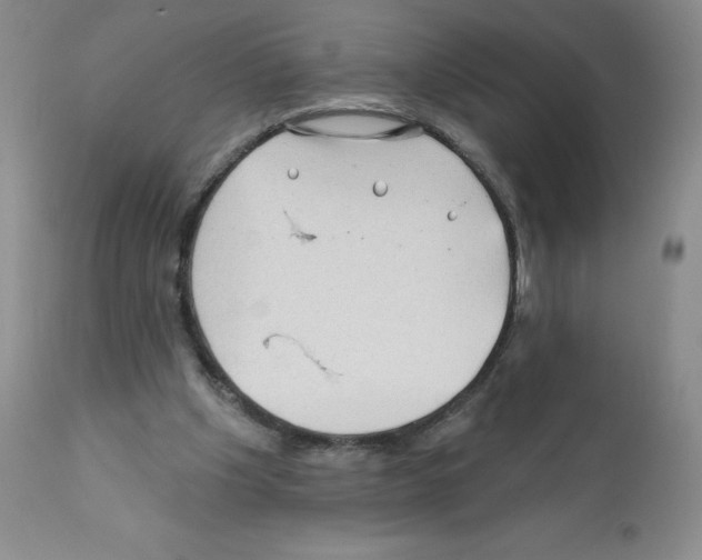 X0000112160201200909181455