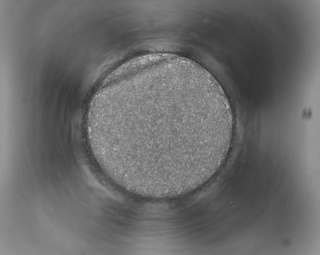 X0000112160202200909181455