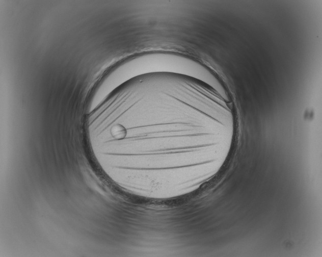 X0000112160203200909181455