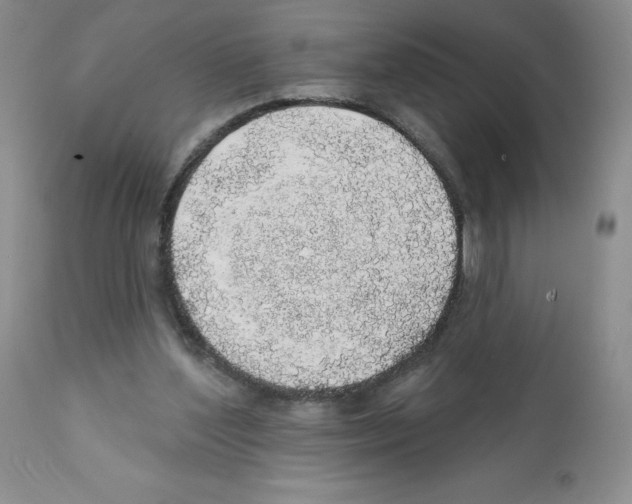 X0000112160204200909181455